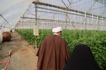 تقدیر امام جمعه همدان از بانوی کارآفرین