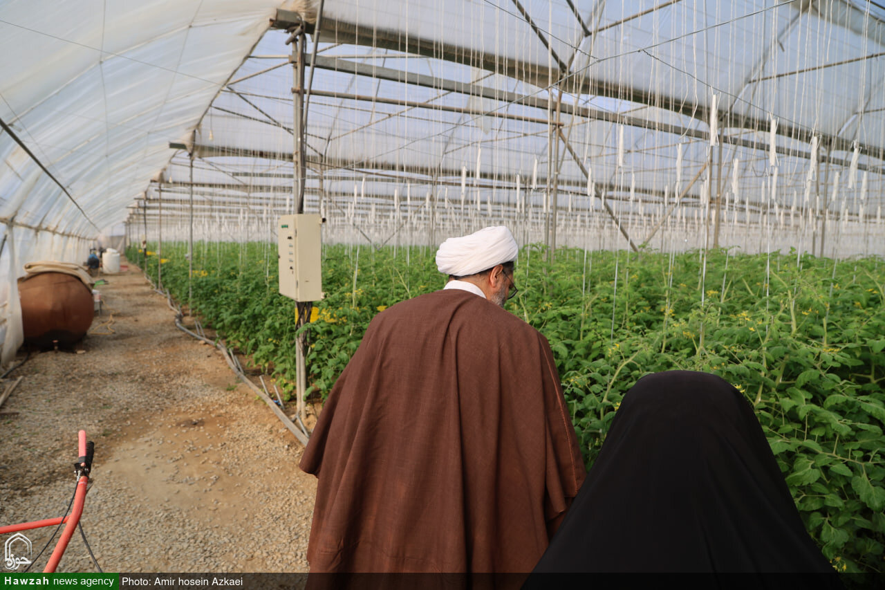 تقدیر امام جمعه همدان از بانوی کارآفرین
