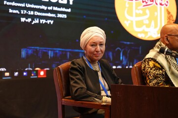 مقاومت مبتنی بر ارزش‌های انسانی ظرفیت تأثیرگذاری جهانی دارد