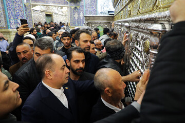 وزیر جهاد کشاورزی زائر حرم بانوی کرامت شد + تصاویر