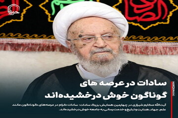 عکس نوشت| سادات در عرصه های گوناگون خوش درخشیده‌اند