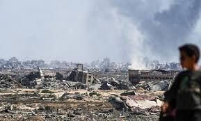 Amnesty calls for blocking German-owned ship carrying arms components bound for Israel