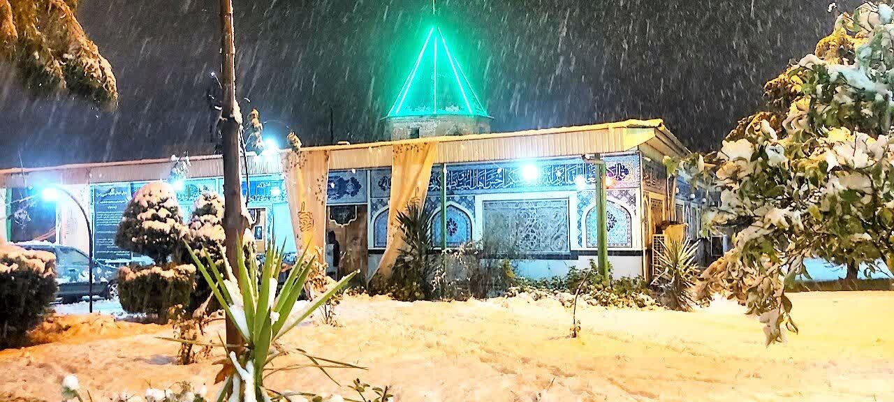 کار کم اما پایدار؛ راز سعادت دنیا و آخرت در کلام امیرالمومنین علی(ع)