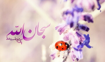 چرا «الله اکبر» از «سبحان الله» فراتر است؟