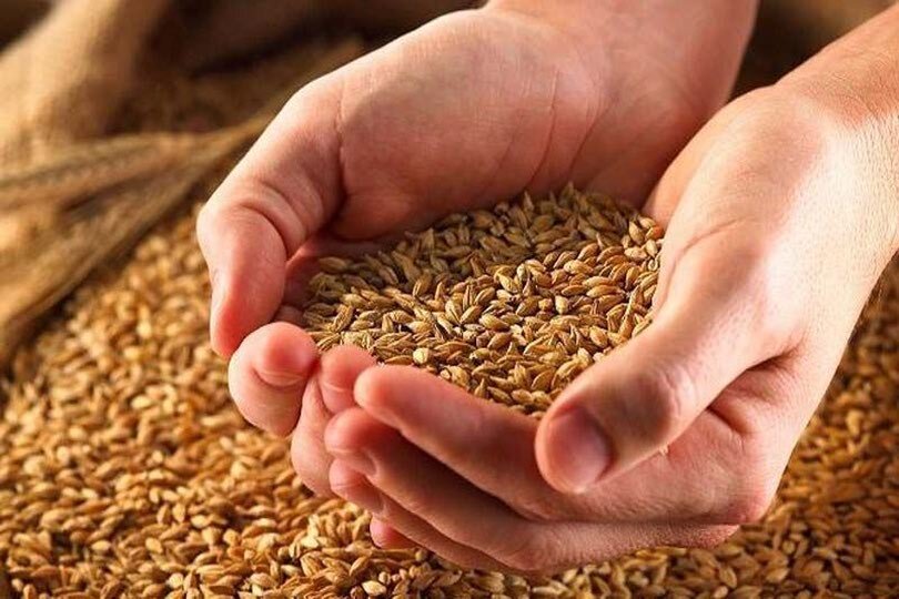 اقتصاد اسلامی بدون زکات محقق نمی شود