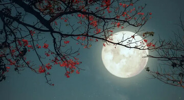 چگونه از سرمای زمستان، آتش عبادت را شعله‌ور کنیم؟