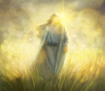 آمادگی برای ظهور، پروژه‌ای اجتماعی است