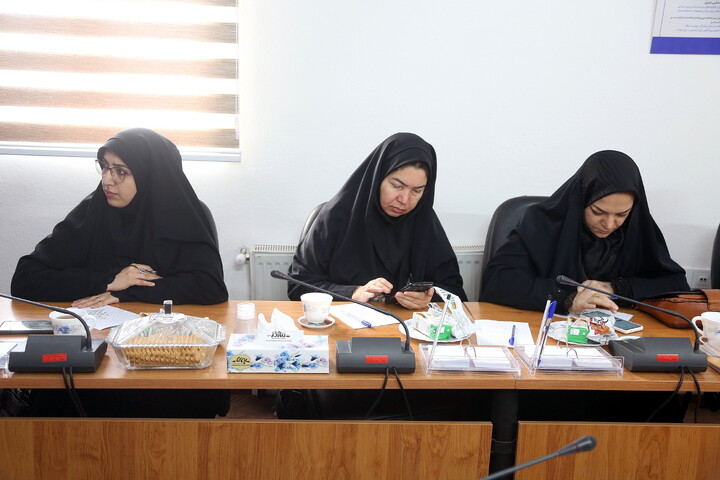 تصاویر/ نشست خبری فراخوان تولید کلیپ «حقیقت را روایت کن»