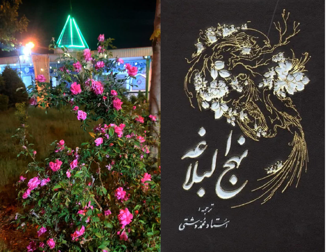 دنیاگرایی ریاآمیز، آفت زندگی است