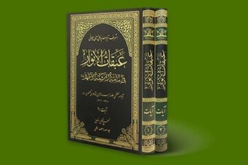 فیلم|صاحب کتاب عبقات الانوار را بیشتر بشناسید
