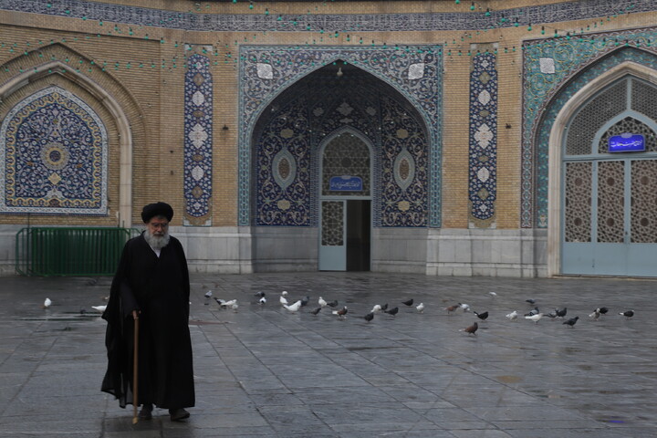 حال و هوای حرم در روز شهادت امام هادی (ع)