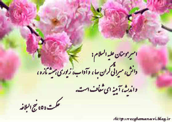 علم، میراث گرانبهای انبیا و فکر، آینه صاف زندگی است