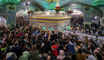 هر زائر، با یک امام رضا(ع)