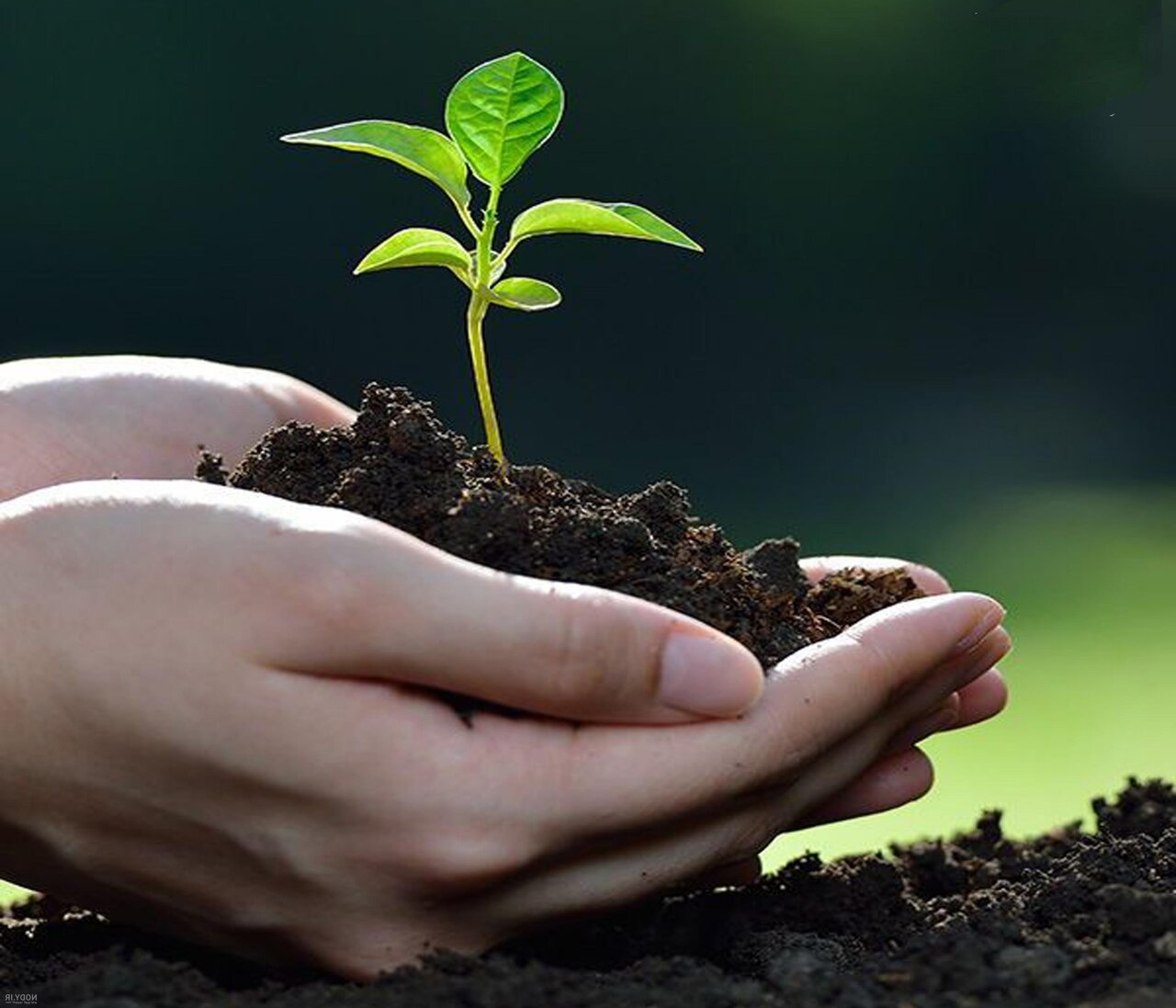 अगर आप अल्लाह की मदद करें तो अल्लाह आपको साबित क़दम बना देगा