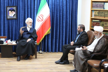 تصاویر/ دیدار رئیس جمعیت هلال احمر قم با آیت الله اعرافی