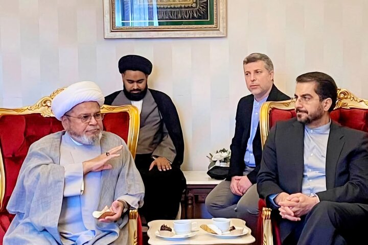 ایران اور پاکستان کے درمیان عملی اور ادارہ جاتی تعلقات وقت کی اہم ضرورت ہے