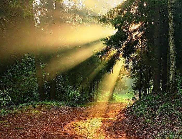 پرداخت زکات و خمس، ضامن سلامت نعمت‌ها در جامعه است