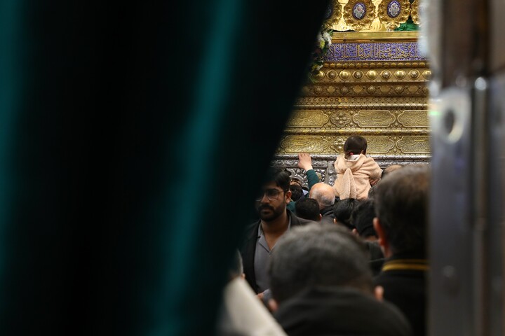 تصاویر/ حال و هوای حرم مطهر حضرت معصومه (س) در شب میلاد امیرالمومنین علیه السلام