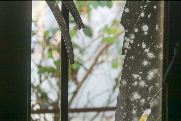 تصاویر| مدرسه علمیه جعفریه قدیمه قاین بعد از اغتشاشات