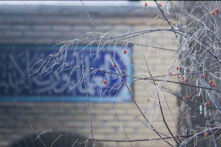 تصاویر| مدرسه علمیه جعفریه قدیمه قاین بعد از اغتشاشات