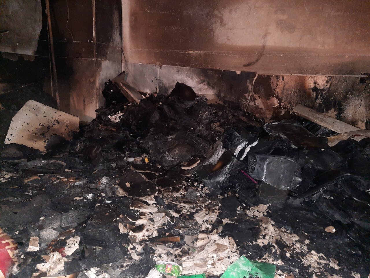 سروده‌ حماسی بانوی طلبه برازجانی در دفاع از ارزش های اسلامی