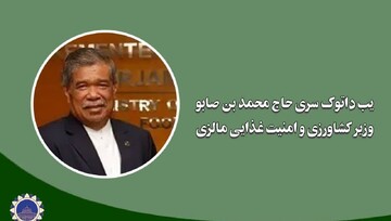 وحدت اسلامی شعار نیست؛ باید به اقدام عملی و هماهنگ تبدیل شود