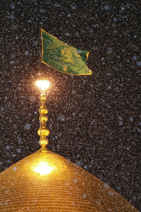 تصاویر/ حال و هوای حرم مطهر حضرت معصومه (س) در شب میلاد ابوالفضل العباس (ع)