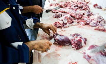 احکام شرعی | نذری گوسفند برای حضرت ابوالفضل(ع)