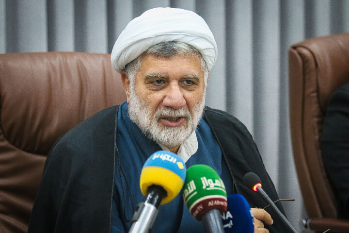 تصاویر/ نشست خبری همایش بین المللی حامیان جنین