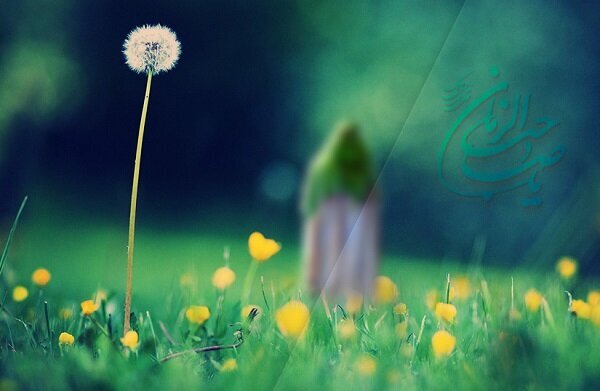 امام علیہ‌السلام کی معرفت کے طریقے