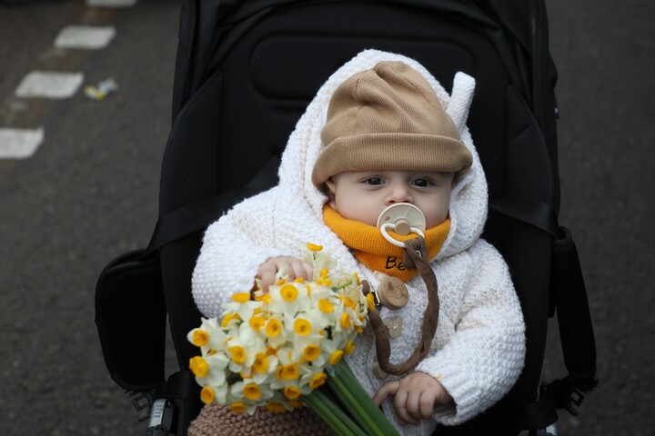 تصاویر/ در مسیر ظهور