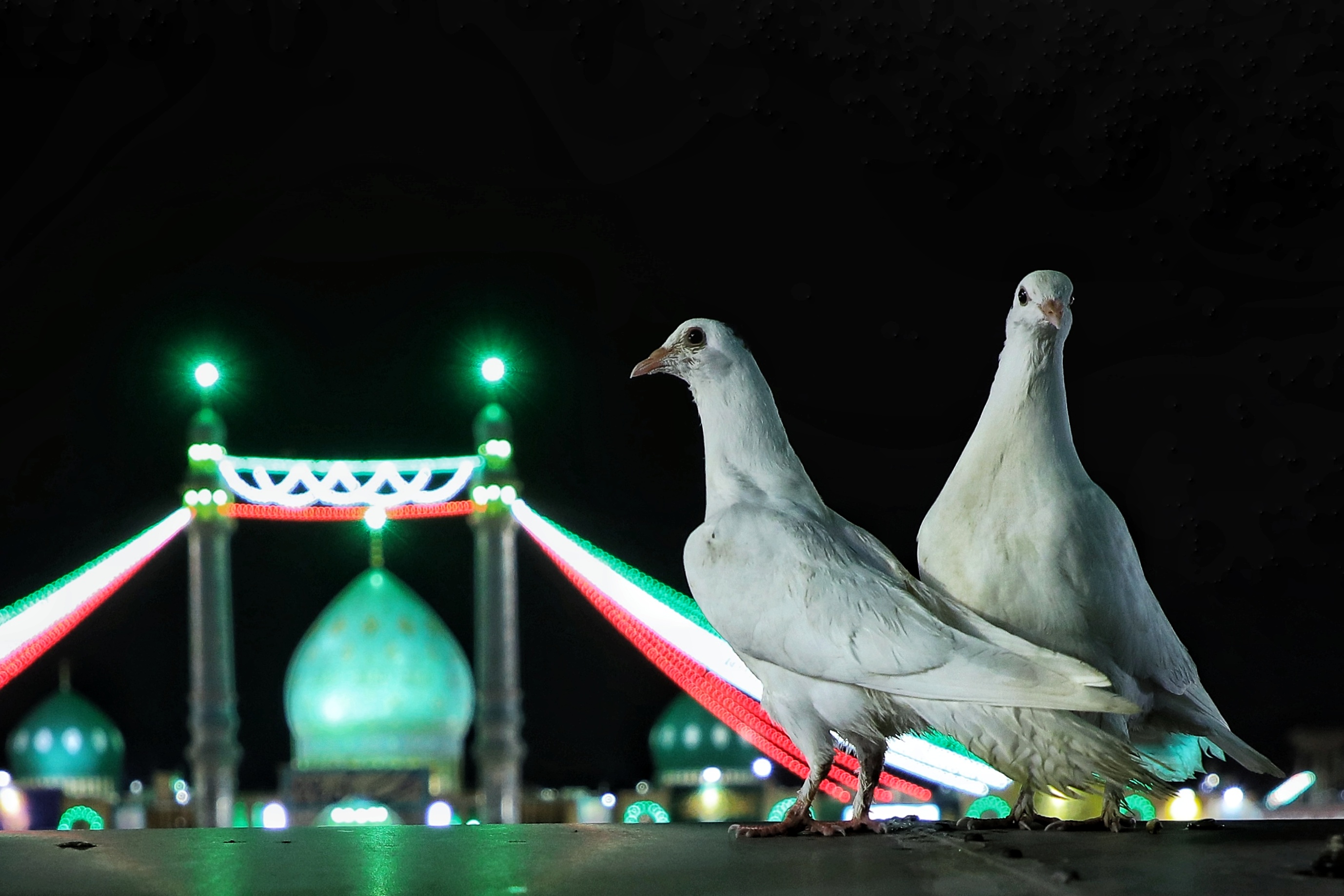 Vidéo/Pourquoi prier pour l’Apparition de l’Imam du Temps ?