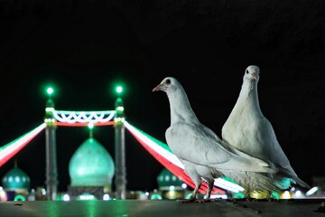 Vidéo/Pourquoi prier pour l’Apparition de l’Imam du Temps ?