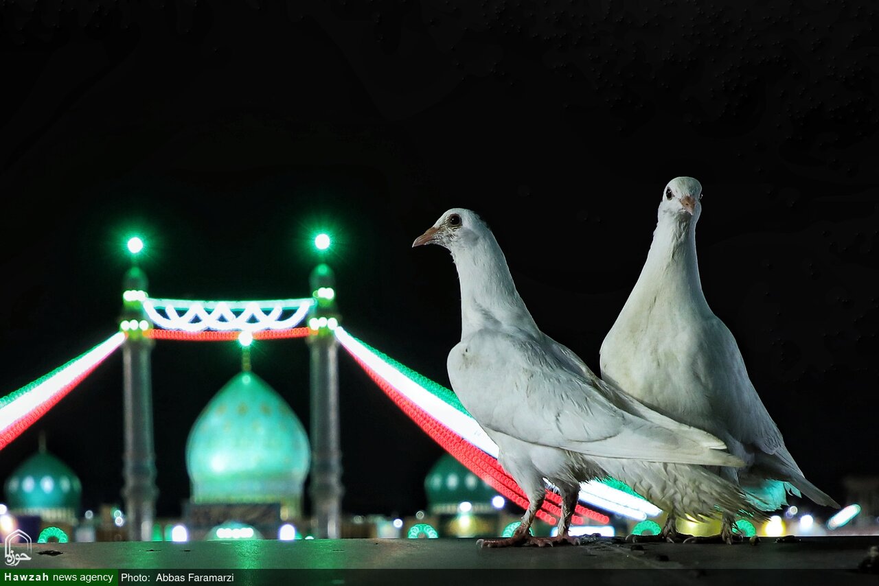 Vidéo/Pourquoi prier pour l’Apparition de l’Imam du Temps ?