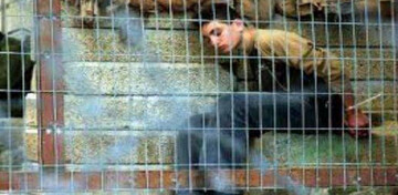 زندانیان فلسطینی بسیاری در اسرائیل ثبت هویت نمی شوند
