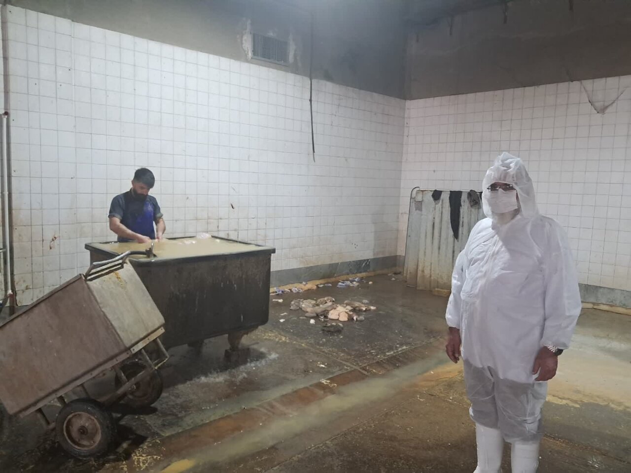 بازدید امام جمعه بخش برزک از کشتارگاه صنعتی دام کاشان+تصاویر