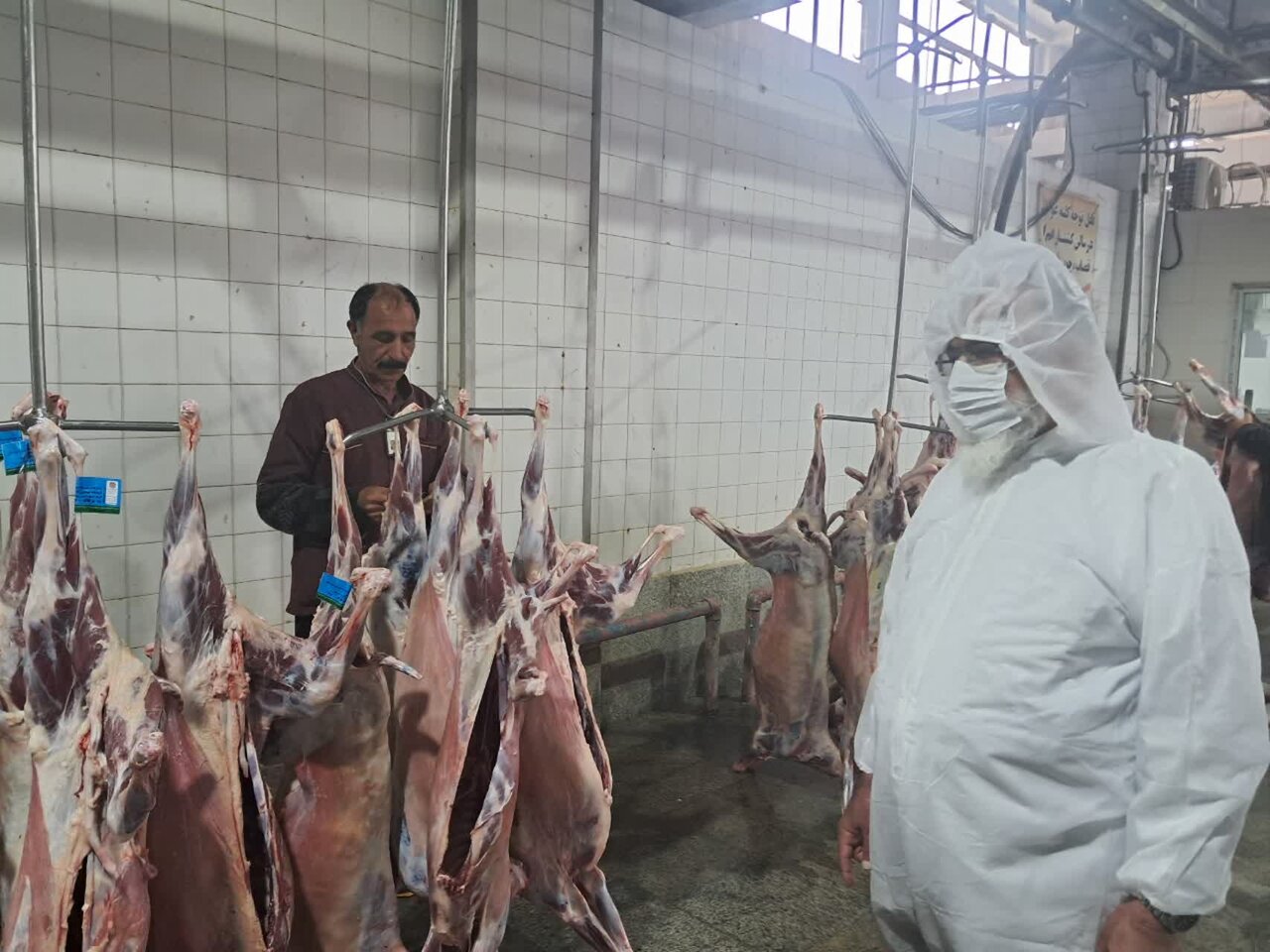 بازدید امام جمعه بخش برزک از کشتارگاه صنعتی دام کاشان+تصاویر