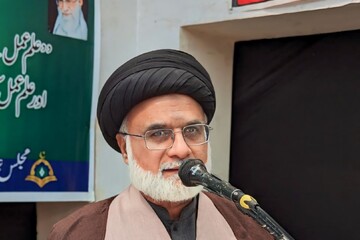 انقلاب اسلامی ایران نماد استقامت، عزت و سربلندی اسلام است