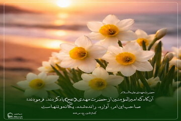 عکس نوشت|  غربت صاحب‌الزمان(عج)