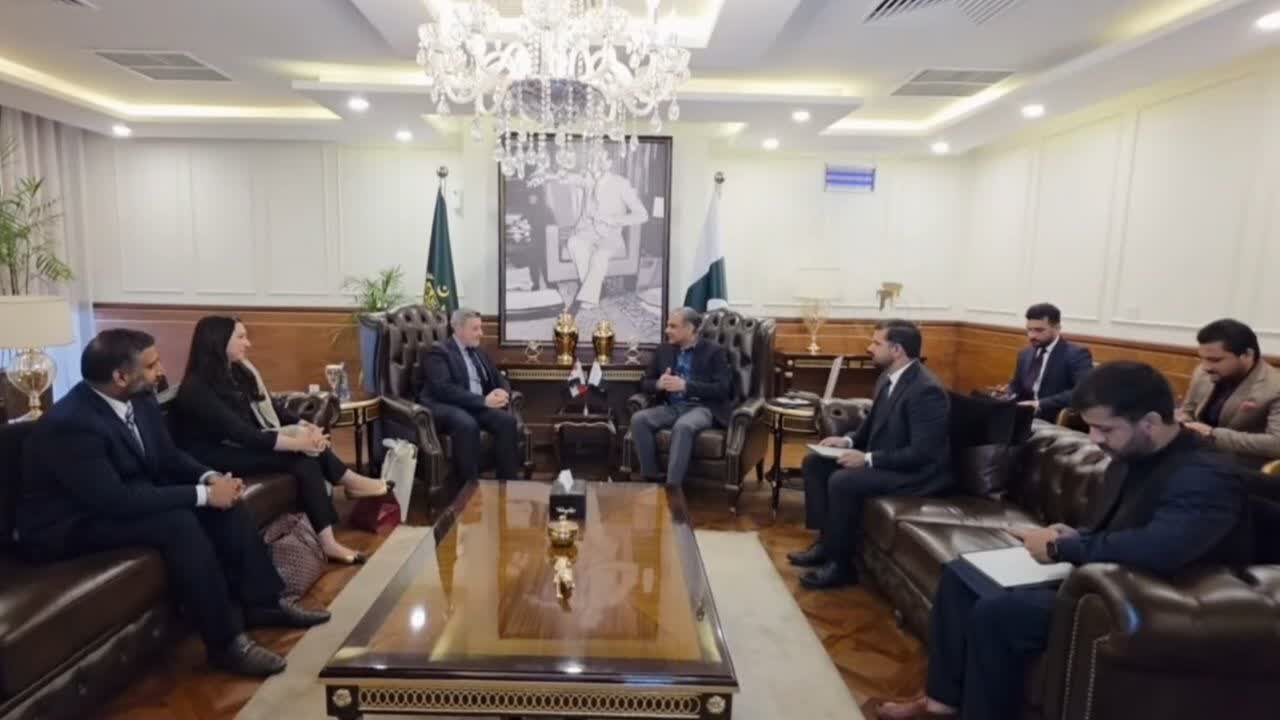 وزیر داخلہ پاکستان سے حرم مطہر حضرت سیدہ زینب (س) کے متولی کی ملاقات / زائرین کو سہولتوں کی فراہمی پر تبادلہ خیال