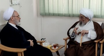 وجود رهبر معظم انقلاب سدّی در برابر تجزیه کشور و آبروی شیعه است