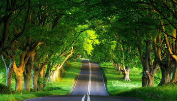 Secret d’un Rapprochement Réel avec Dieu