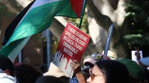 ''There is more spilled blood than water in Gaza'': Olympic star