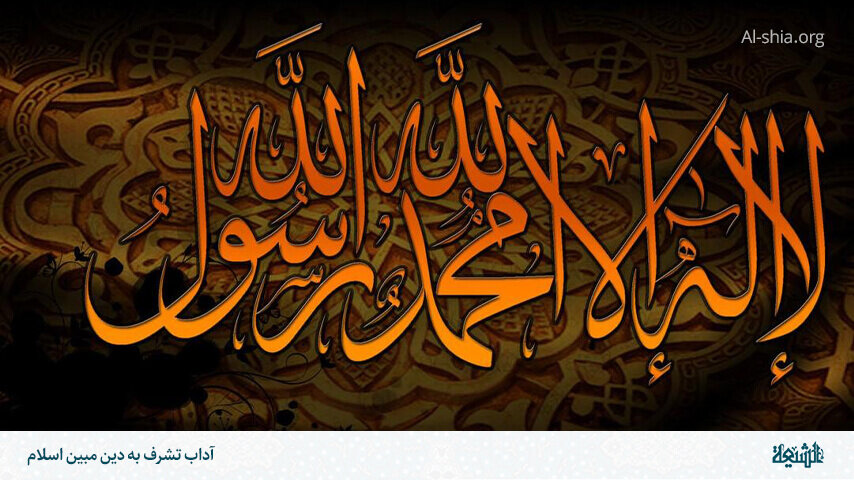 ধর্মকে দুনিয়া উপার্জনের মাধ্যম বানানো লোকেরা জাহান্নামী; মাওলানা তাকি আব্বাস রিজভী 