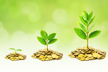 ضیافت علوی | سه شرط طلایی برای ماندگاری کار خیر