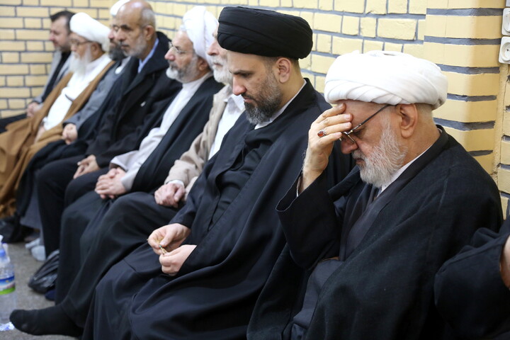 تصاویر/ بزرگداشت آیت الله سید هادی سیستانی