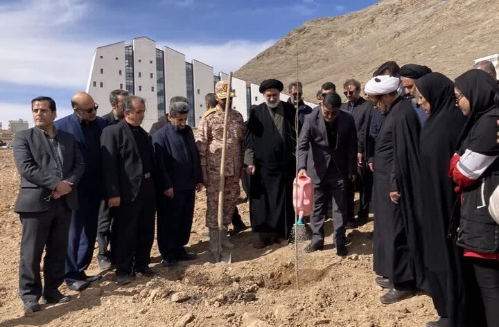 درخت