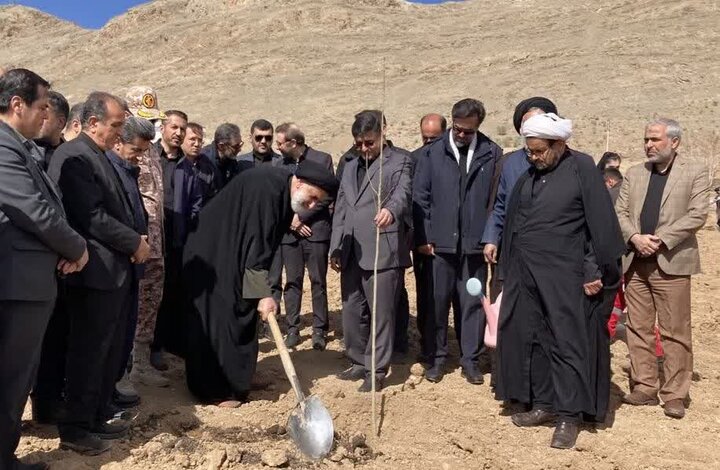 درخت