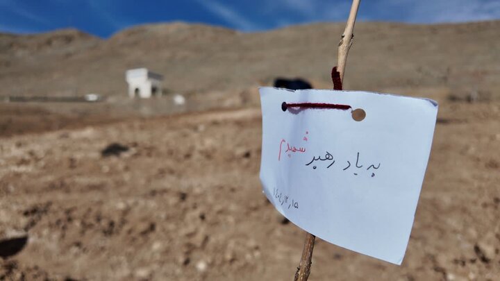درخت