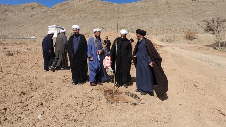 درخت
